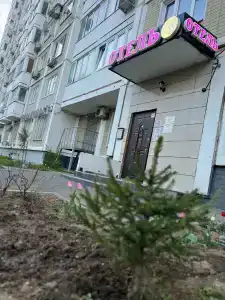 Сова на Авангардной - 34