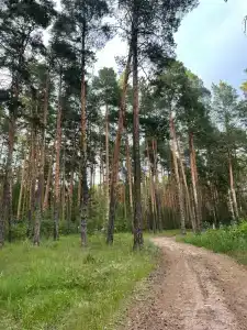 Алатырь - 82
