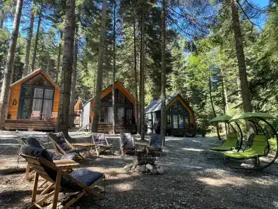 Barn&Wood - 0