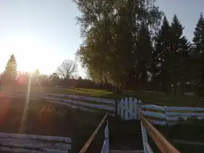 Уютный дворик - 88