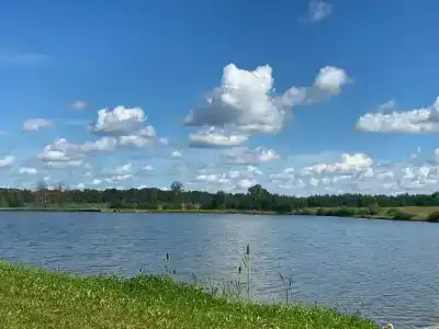 Королевская охота - 51