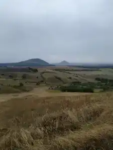 Родники - 55