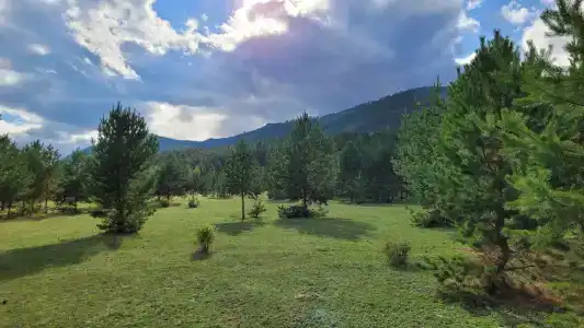 Кучигер - 0