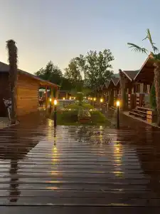 Платан-Paradise - 1