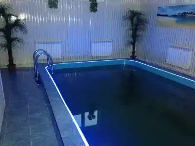 Фламинго - 60