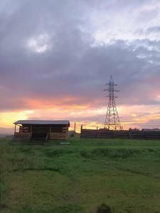 Green Rancho - 17