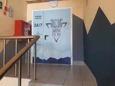 Золотая Ригма - 47