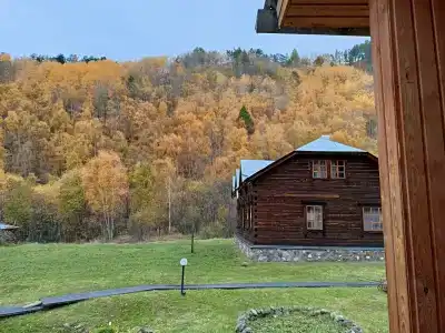 Шумиха - 15