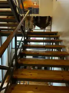 Cedar Grass Териберка - 52