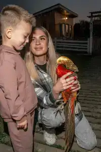 Семейная мини-ферма Фазенда - 83