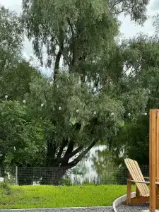 Место Встречи - 5