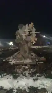Ной - 11