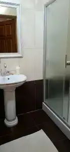 Золотой лев - 14