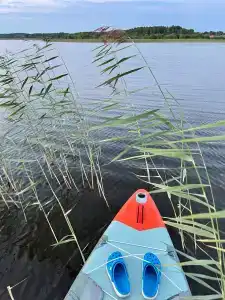 Челмужская усадьба - 50