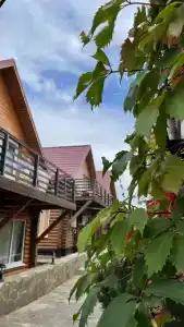 Весна - 23
