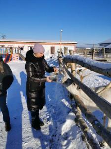 Мурманская страусиная ферма - 31