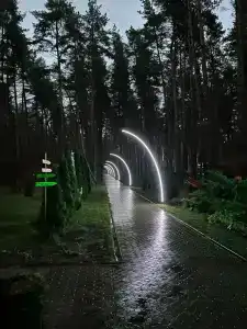 Чайка - 4