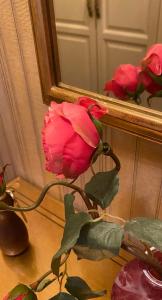 Тургеневъ - 24