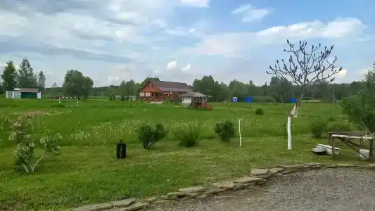 Родник - 0