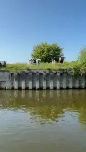 Тюниных - 73