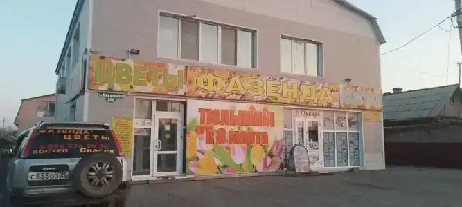 Фазенда - 0