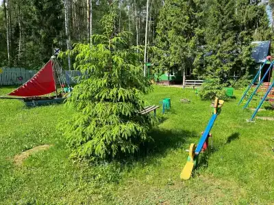 Сосновый берег - 32
