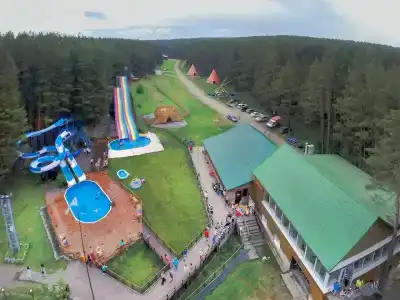 Сова - 2