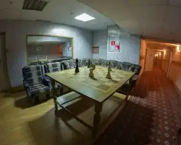 Сосны - 12