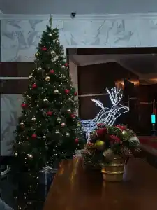 Смоленскотель - 51