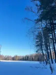Нёмда - 33
