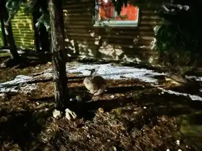 Водолей - 68