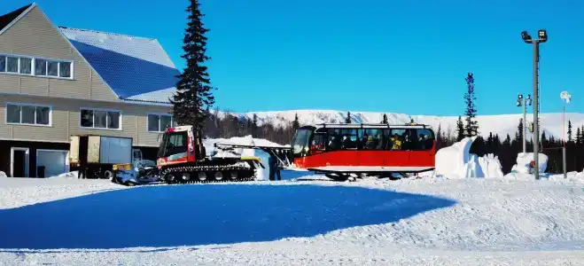 Тирвас - 34