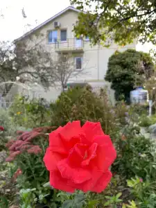Бархатный сезон - 0
