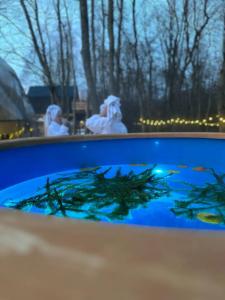 Вазуза Лав - 38