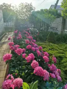 Берег Благи - 29