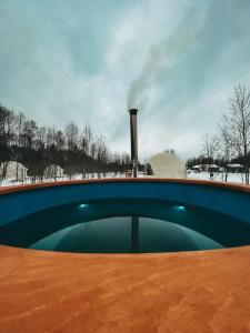 Вазуза Лав - 66