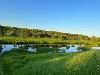 Паллада пастораль - 5