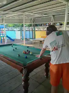 Фламинго - 100