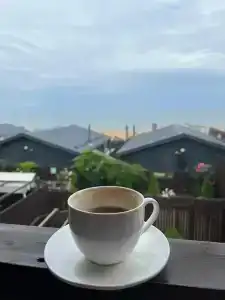 Этно Вилла - 67