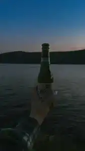 Ивушка - 49