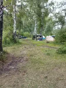 Лесные эльфы - 12