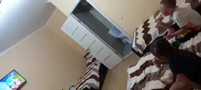Сокол - 13