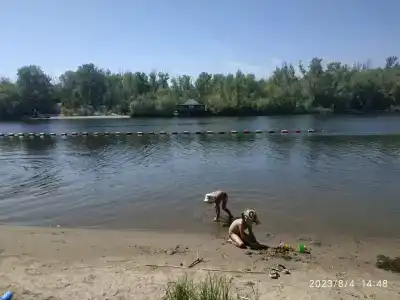 Бодрость - 91