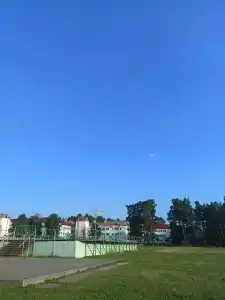 Пралеска - 6