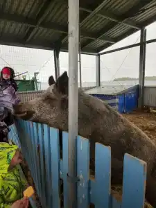 Александровский спас - 71