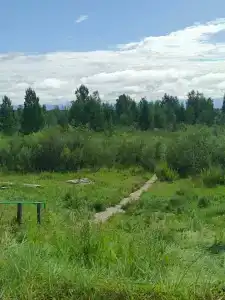 Кучигер - 59