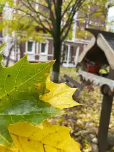 Гостевая Изба на Истре - 21