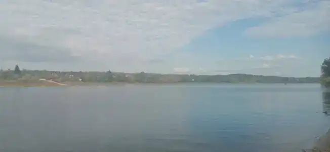 Забава у Сергеевича - 18