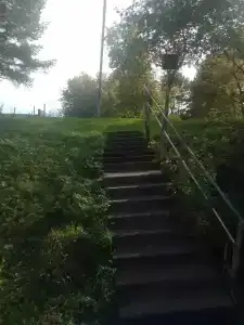 Лесное озеро - 5