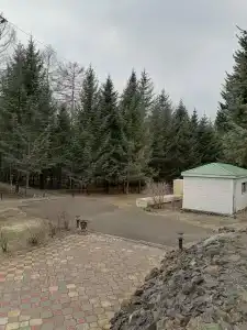 Санаторий Санус - 23